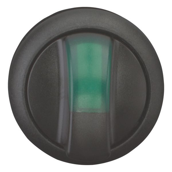 Illuminated selector switch actuator, RMQ-Titan, With thumb-grip, momentary, 2 positions, green, Bezel: black image 2