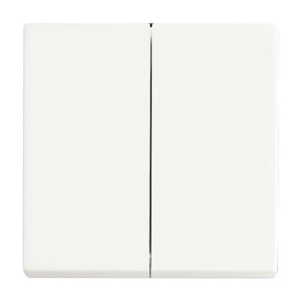 1785-884 CoverPlates (partly incl. Insert) future®, Busch-axcent®, carat® studio white matt image 2