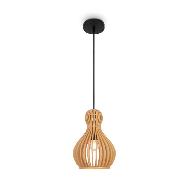 Modern Roots Pendant lamp Black image 1