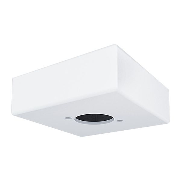 Surface Box for IRIS Emergency Downlight image 1