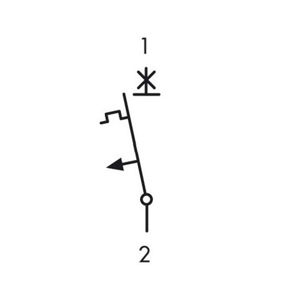 Miniature Circuit Breaker (MCB) AMPARO 6kA, C 63A, 1-pole image 3