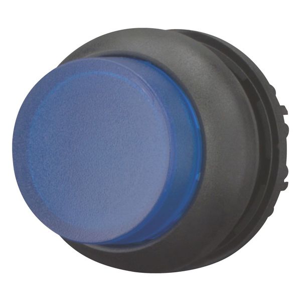 Illuminated pushbutton actuator, RMQ-Titan, Extended, maintained, Blue, Blank, Bezel: black image 12