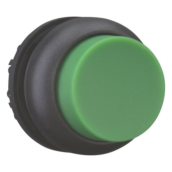 Pushbutton, RMQ-Titan, Extended, momentary, green, Blank, Bezel: black image 7