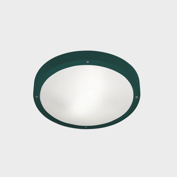 Ceiling fixture IP66 BASIC LED 11.7W 2700K Fir green 1269lm image 1