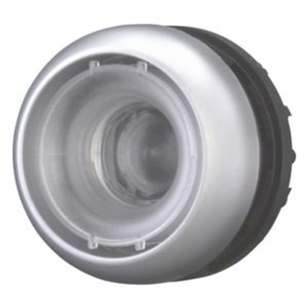 Pushbutton, RMQ-Titan, flush, momentary, Without button plate, Bezel: titanium image 8