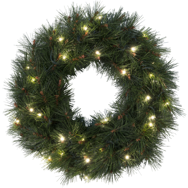 Wreath Russian Pine image 1
