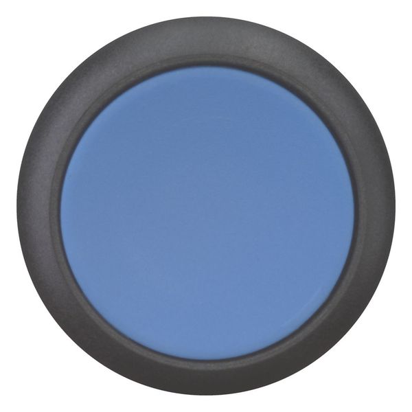 Pushbutton, RMQ-Titan, Flat, maintained, Blue, Blank, Bezel: black image 3