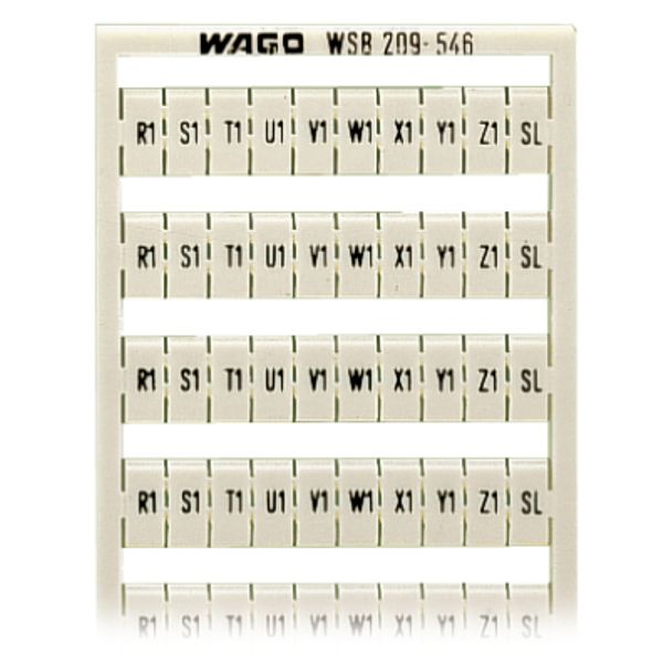 WSB marking card as card MARKED white image 2
