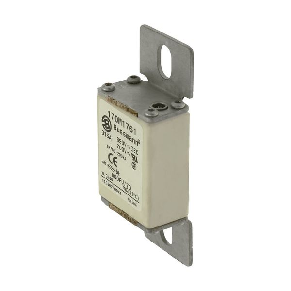 Fuse-link, high speed, 315 A, DC 750 V, size 000, 24 x 36 x 96 mm, aR, IEC, UL image 2