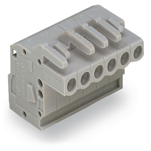 1-conductor female connector, angled CAGE CLAMP® 2.5 mm² gray image 1