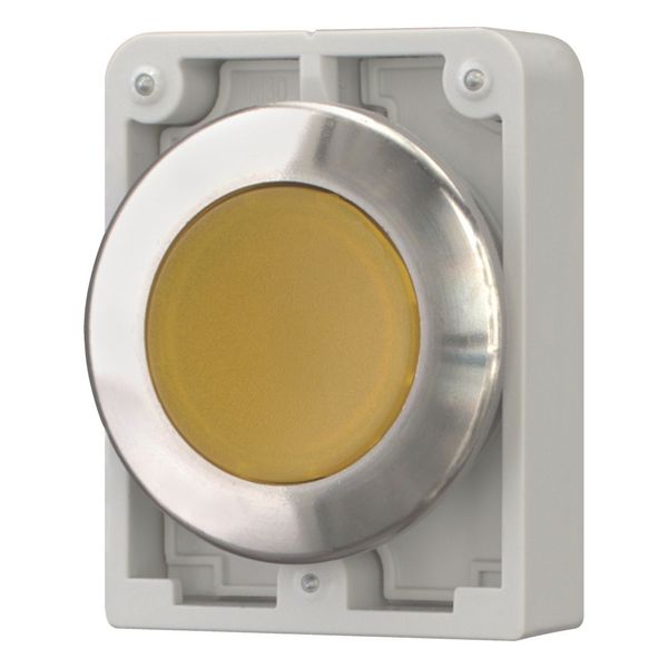 Illuminated pushbutton actuator, RMQ-Titan, flat, maintained, yellow, blank, Front ring stainless steel image 12