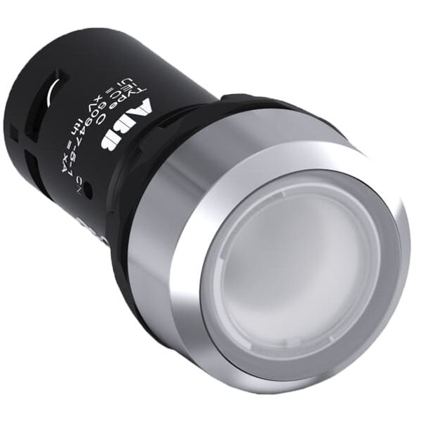 Illuminated Pushbutton CP1-33C-10 image 1