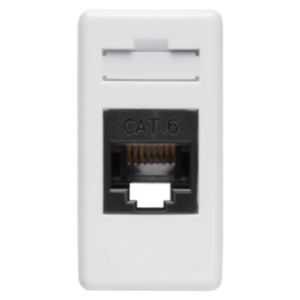 RJ45 CONNECTOR - 4 PAIR - CATEGORY 6 - UTP - TOOLLESS - 1 MODULE - SYSTEM WHITE image 1