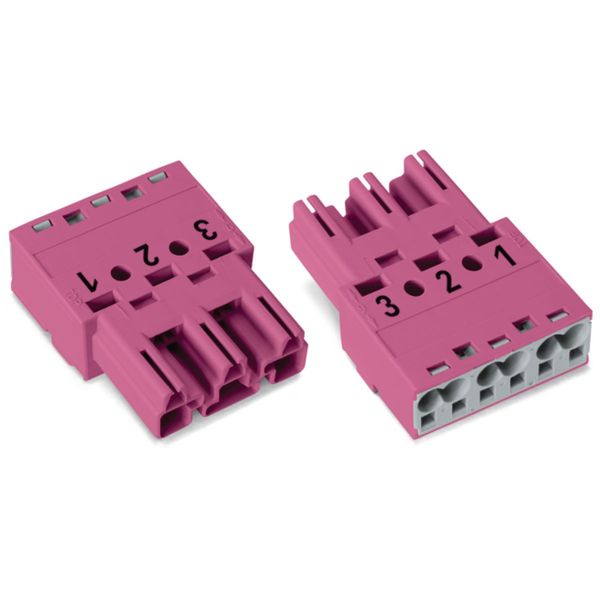 Plug 3-pole Cod. B pink image 1