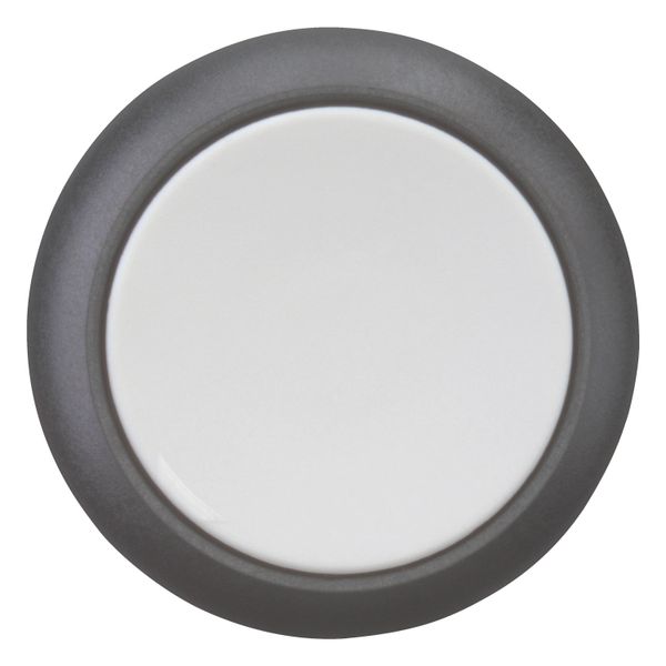 Pushbutton, RMQ-Titan, Flat, momentary, gray, Blank, Bezel: black image 10