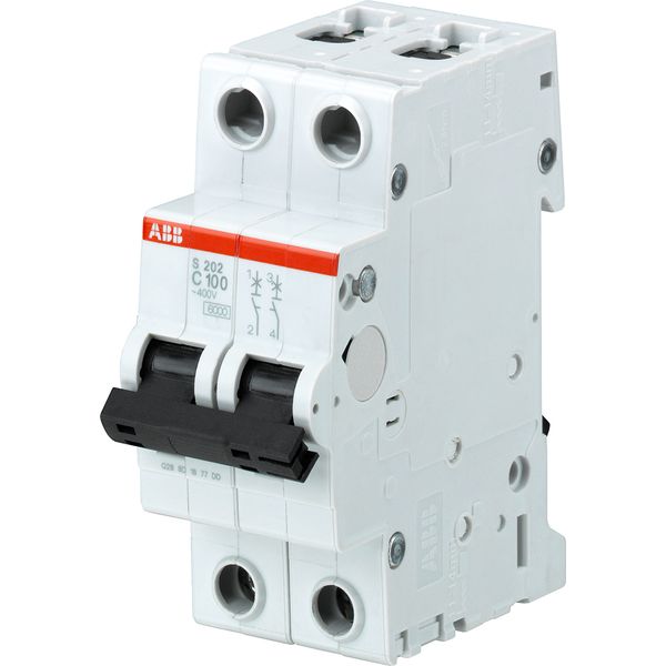 S202-C100 Miniature Circuit Breaker - 2P - C - 100 A image 1