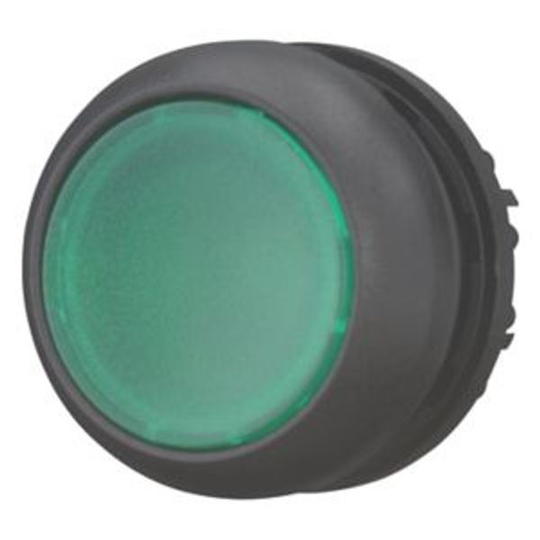 Illuminated pushbutton actuator, RMQ-Titan, Flush, momentary, green, Blank, Bezel: black image 2