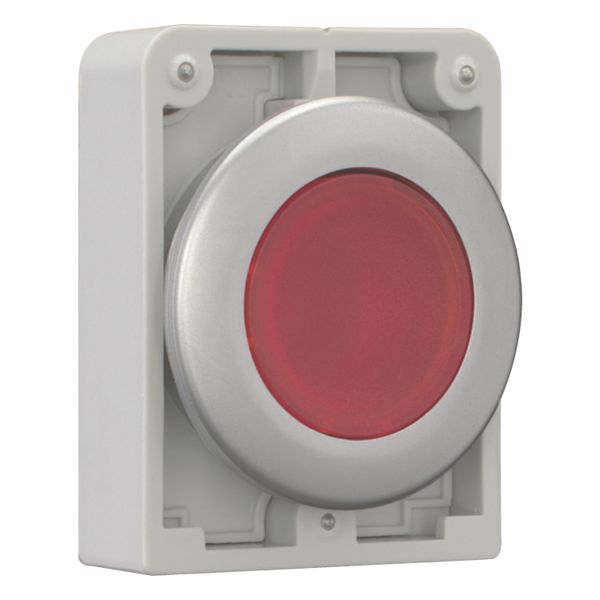 Illuminated pushbutton actuator, RMQ-Titan, Flat, momentary, red, Blank, Metal bezel image 7