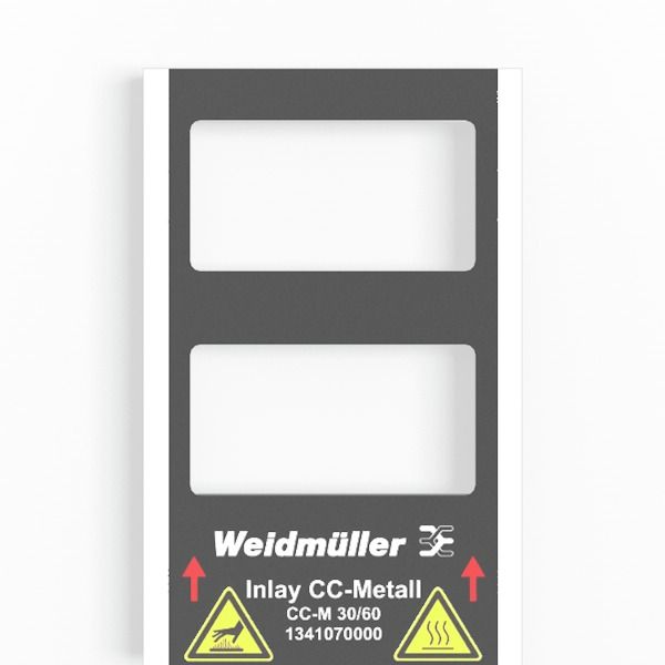 Device marking, 60 mm, Printed characters: Based on customer requireme image 1