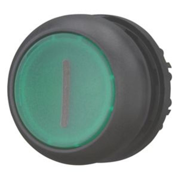 Illuminated pushbutton actuator, RMQ-Titan, Flush, maintained, green, inscribed, Bezel: black image 8