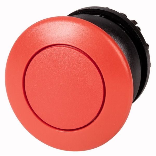 Mushroom actuator, RMQ-Titan, Mushroom, maintained, Mushroom red, red, Blank, Bezel: black image 1