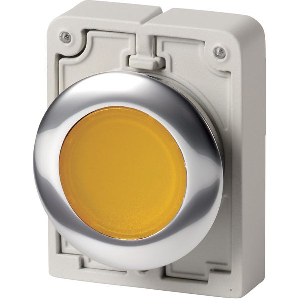 Illuminated pushbutton actuator, RMQ-Titan, Flat, momentary, yellow, Blank, Metal bezel image 2