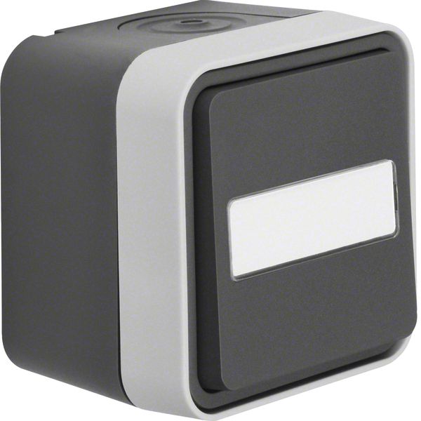 Change-over switch with labelling field surface-mounted, W.1, grey image 1