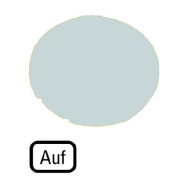 Button lens, flat white, AUF image 4