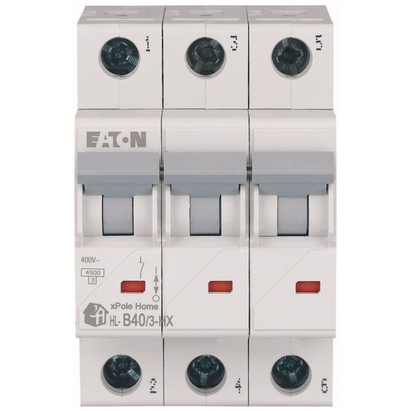 Miniature circuit breaker (MCB), 40 A, 3p, characteristic: B image 3