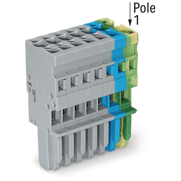 1-conductor female connector CAGE CLAMP® 4 mm² gray/blue/green-yellow image 2