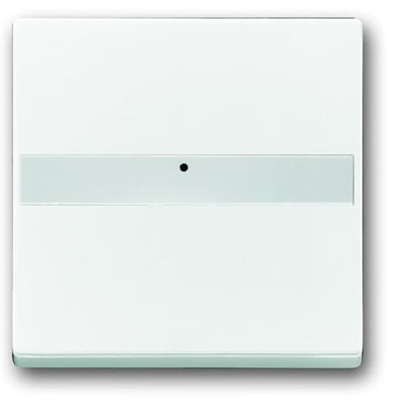 1764 NLI-84 CoverPlates (partly incl. Insert) future®, Busch-axcent®, solo®; carat® Studio white image 1