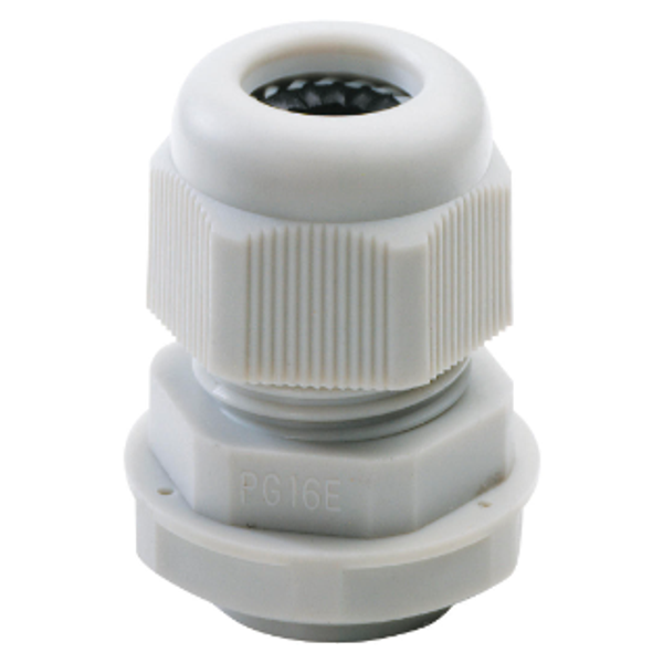 NYLON CABLE GLAND -  PG PITCH 11 - GREY RAL 7035 - IP68 image 1