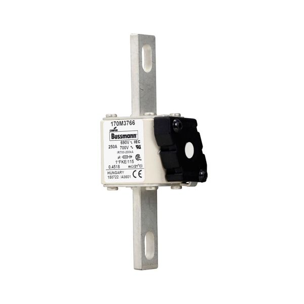 Fuse-link, high speed, 250 A, AC 690 V, compact size 1, 45 x 59 x 148 mm, aR, IEC, UL, single indicator image 7