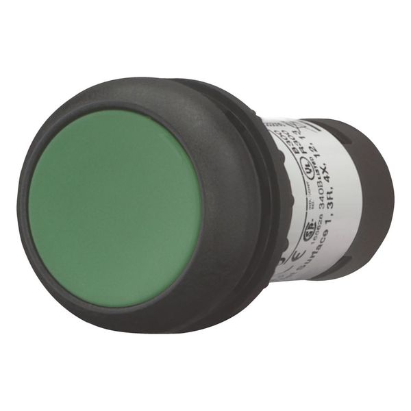 Pushbutton, Flat, momentary, 1 NC, 1 N/O, Screw connection, green, Blank, Bezel: black image 4