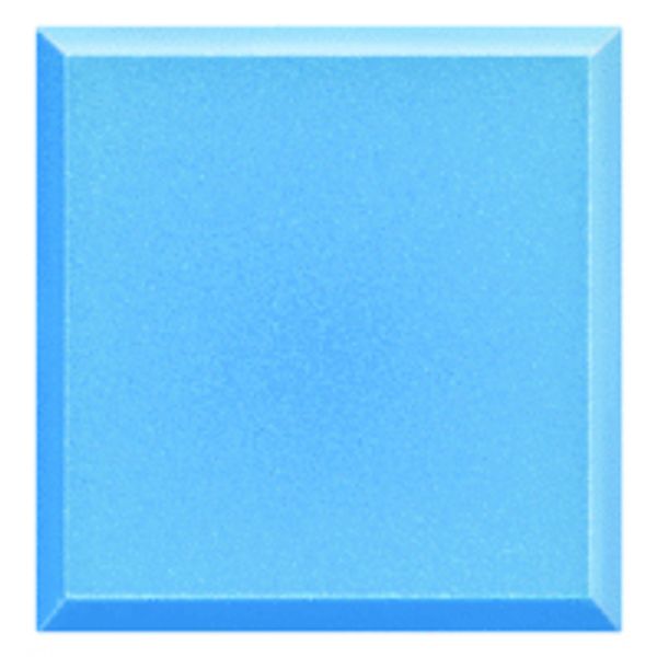 NEUTRAL BLUE KEY COVER image 1