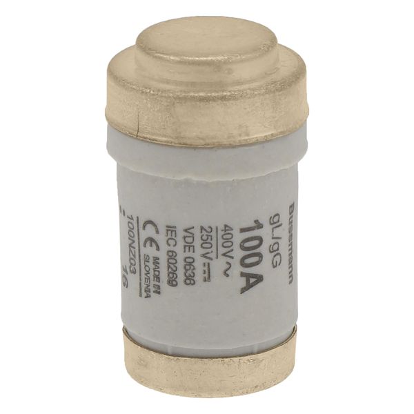 Fuse-link, LV, 100 A, AC 400 V, D03, gL/gG, IEC, time-delay image 11