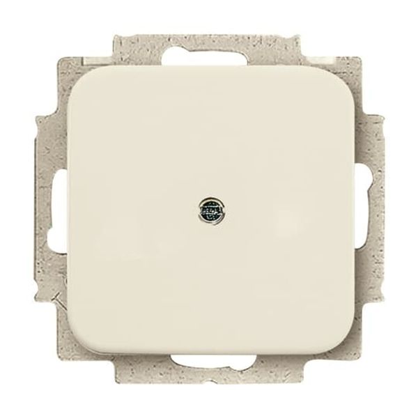 2538-212 CoverPlates (partly incl. Insert) carat® White image 4