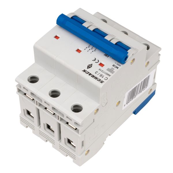 Miniature Circuit Breaker (MCB) AMPARO 10kA, C 16A, 3-pole image 3