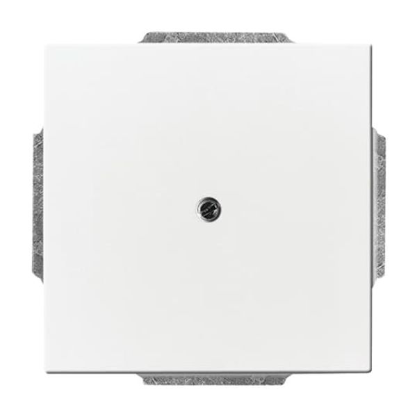 1766-84 CoverPlates (partly incl. Insert) future®, Busch-axcent®, solo®; carat® Studio white image 4