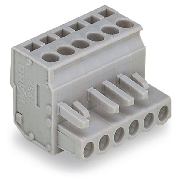 1-conductor female connector, angled CAGE CLAMP® 2.5 mm² gray image 4