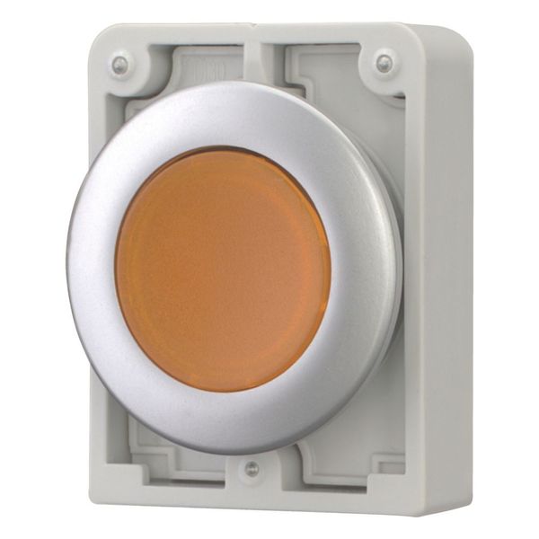 Illuminated pushbutton actuator, RMQ-Titan, Flat, momentary, orange, Blank, Metal bezel image 4