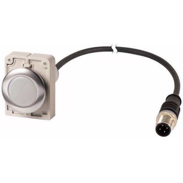 Indicator light, Flat, Cable (black) with M12A plug, 4 pole, 1 m, Lens white, LED white, 24 V AC/DC image 1