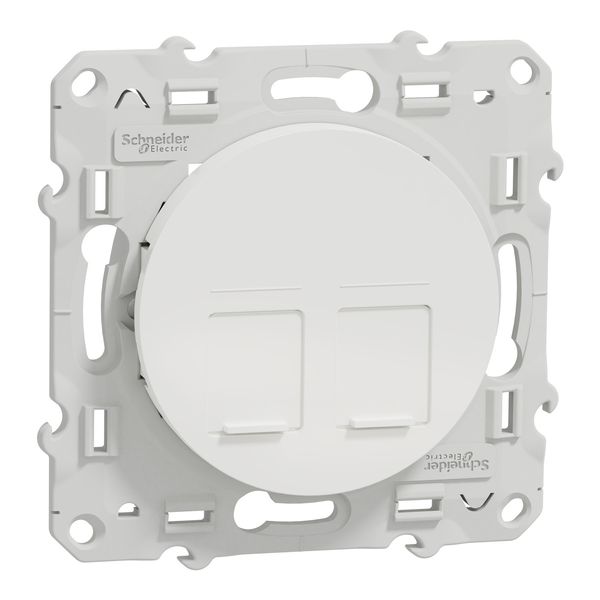 CENTER PLATE 2 RJ45 INFRAPLUS ODACE image 1