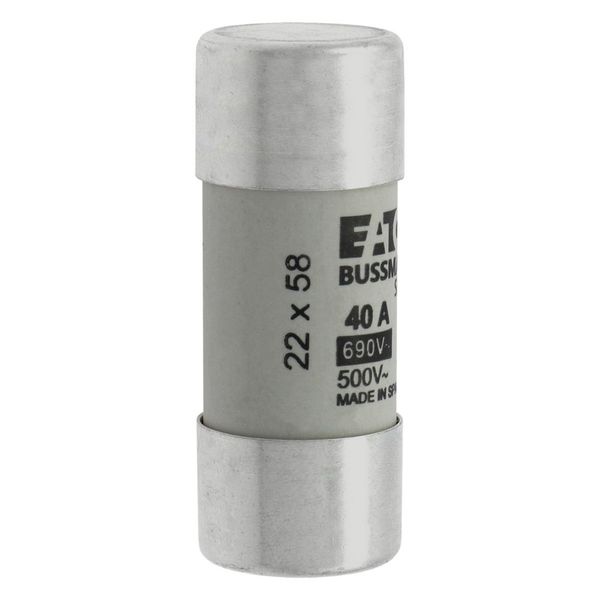 Fuse-link, LV, 40 A, AC 690 V, 22 x 58 mm, gL/gG, IEC image 10