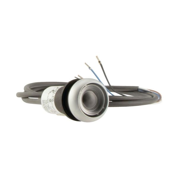 Pushbutton, Flat, momentary, 1 N/O, Cable (black) with non-terminated end, 4 pole, 3.5 m, Without button plate, Bezel: titanium image 10