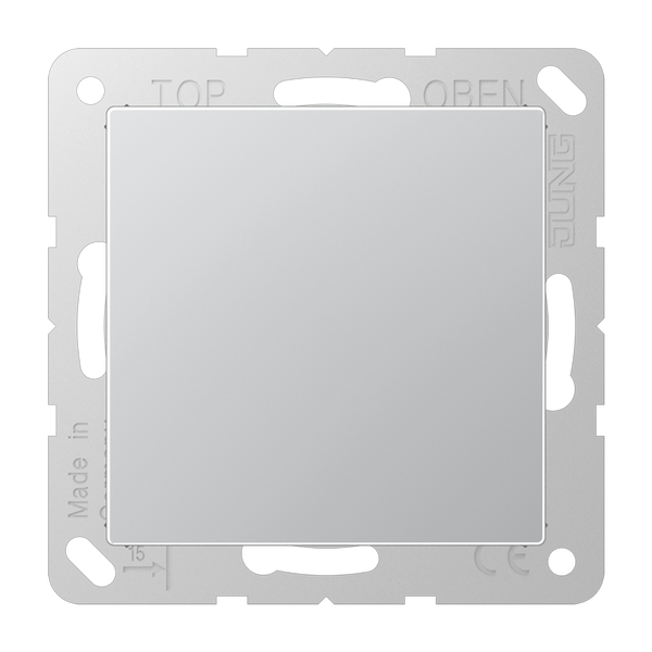 Blank centre plate A594-0AL image 8
