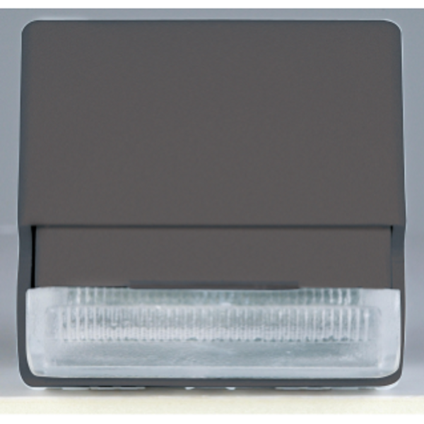 STAIR RISER LAMP WITH LED LIGHT - 12/230V ac - WHITE - 2 MODULES - SYSTEM BLACK image 1