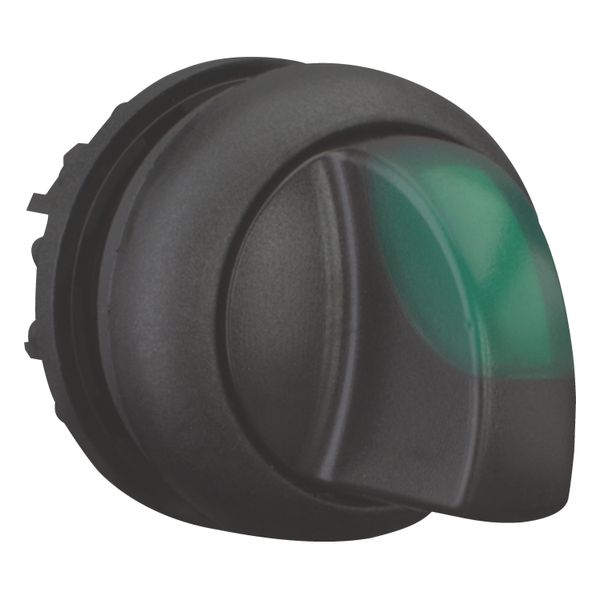 Illuminated selector switch actuator, RMQ-Titan, With thumb-grip, momentary, 2 positions, green, Bezel: black image 5