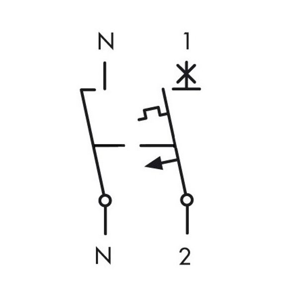 Miniature Circuit Breaker (MCB) AMPARO 6kA, B 25A, 1+N image 5