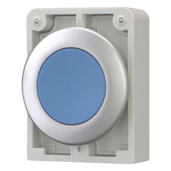 Pushbutton, RMQ-Titan, Flat, maintained, Blue, Blank, Metal bezel image 2